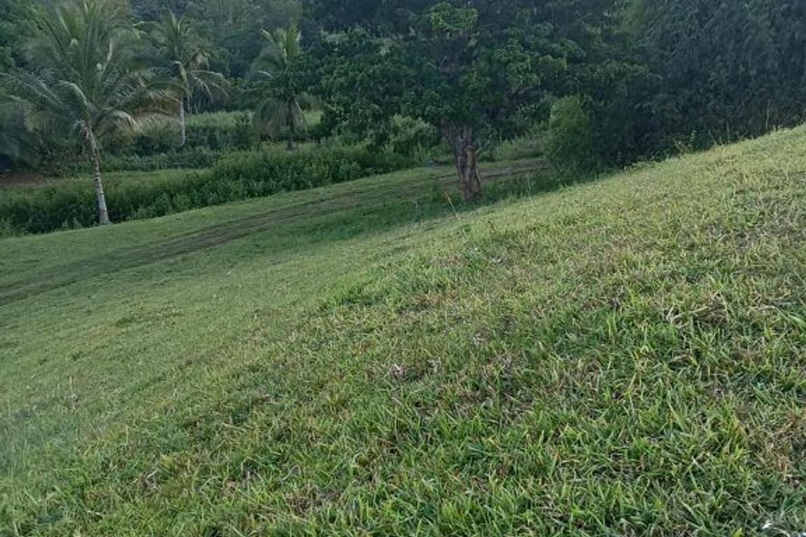 Land for Sale in San Pedro, Puerto Princesa, Palawan