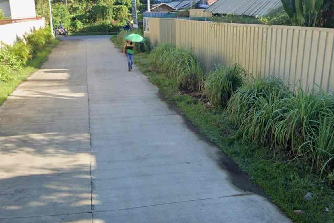 Land for Sale in San Pedro, Puerto Princesa, Palawan – photo 4