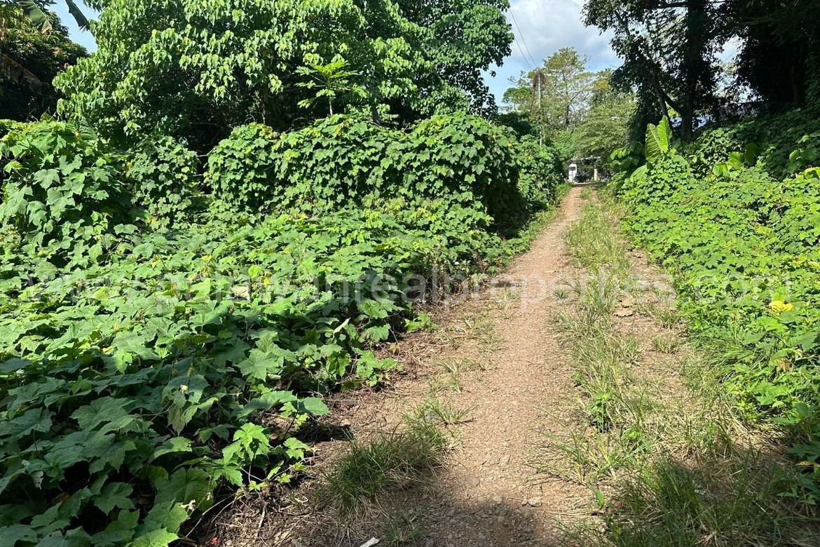 Land for Sale in San Pedro, Puerto Princesa, Palawan – photo 2