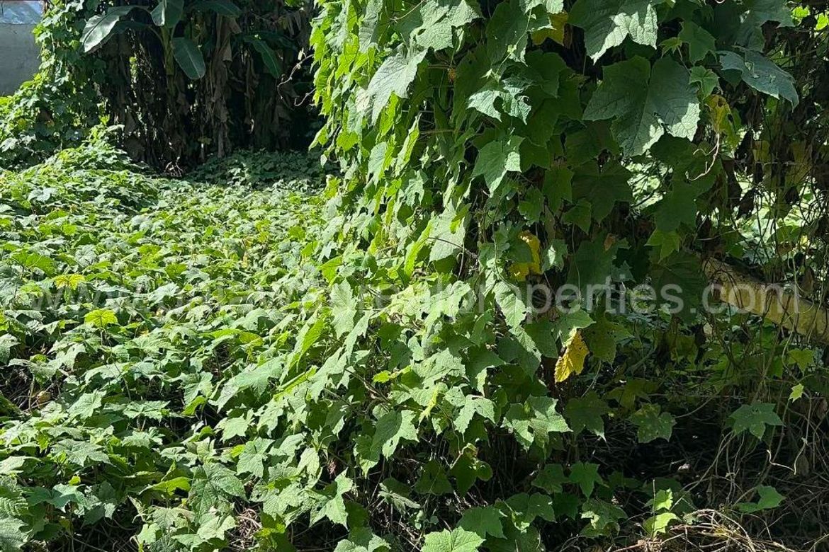 Land for Sale in San Pedro, Puerto Princesa, Palawan – photo 3