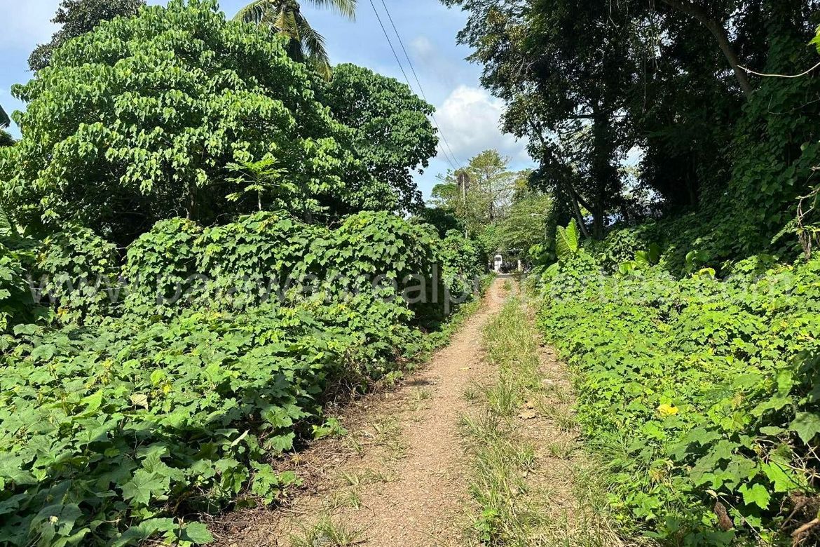 Land for Sale in San Pedro, Puerto Princesa, Palawan – photo 4