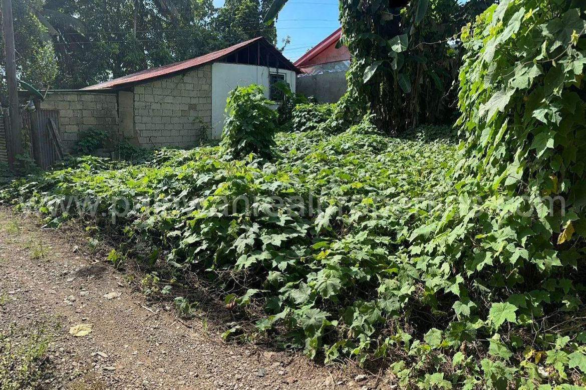Land for Sale in San Pedro, Puerto Princesa, Palawan – photo 6