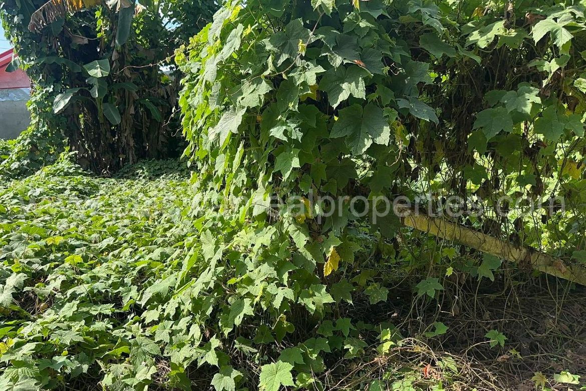 Land for Sale in San Pedro, Puerto Princesa, Palawan – photo 7