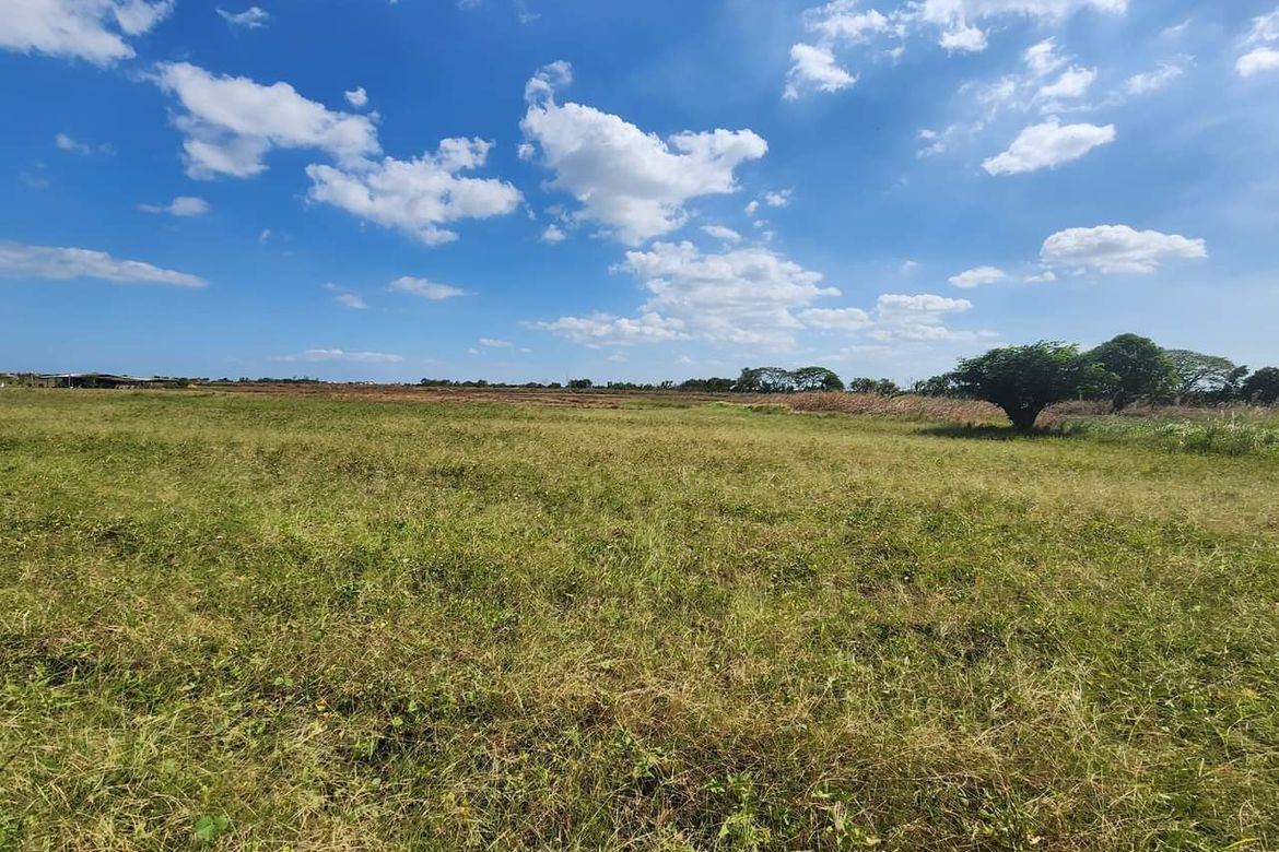 Land for Sale in San Pedro, San Fernando, Pampanga – photo 4