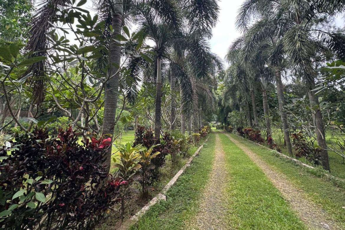 Land for Sale in San Pedro, Santo Tomas, Batangas