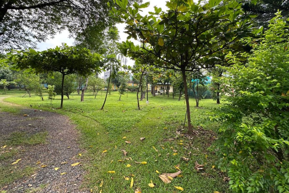 Land for Sale in San Pedro, Santo Tomas, Batangas – photo 3