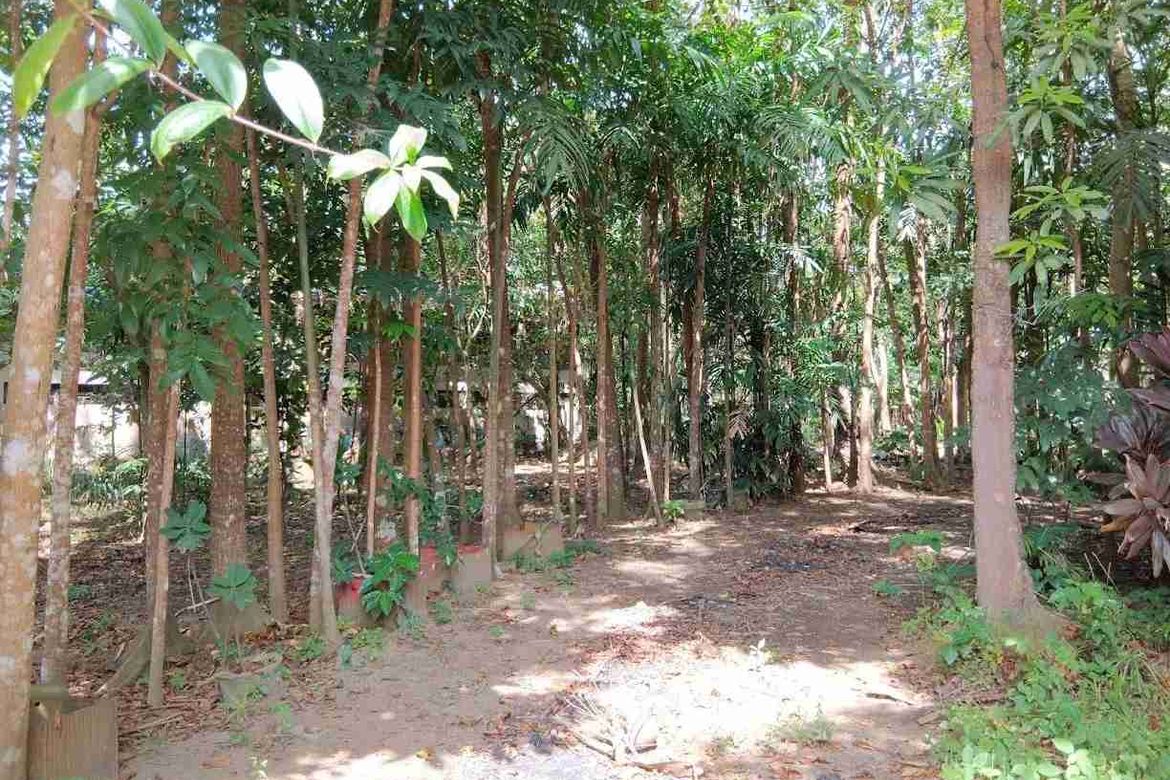 Land for Sale in San Pedro, Santo Tomas, Batangas – photo 3