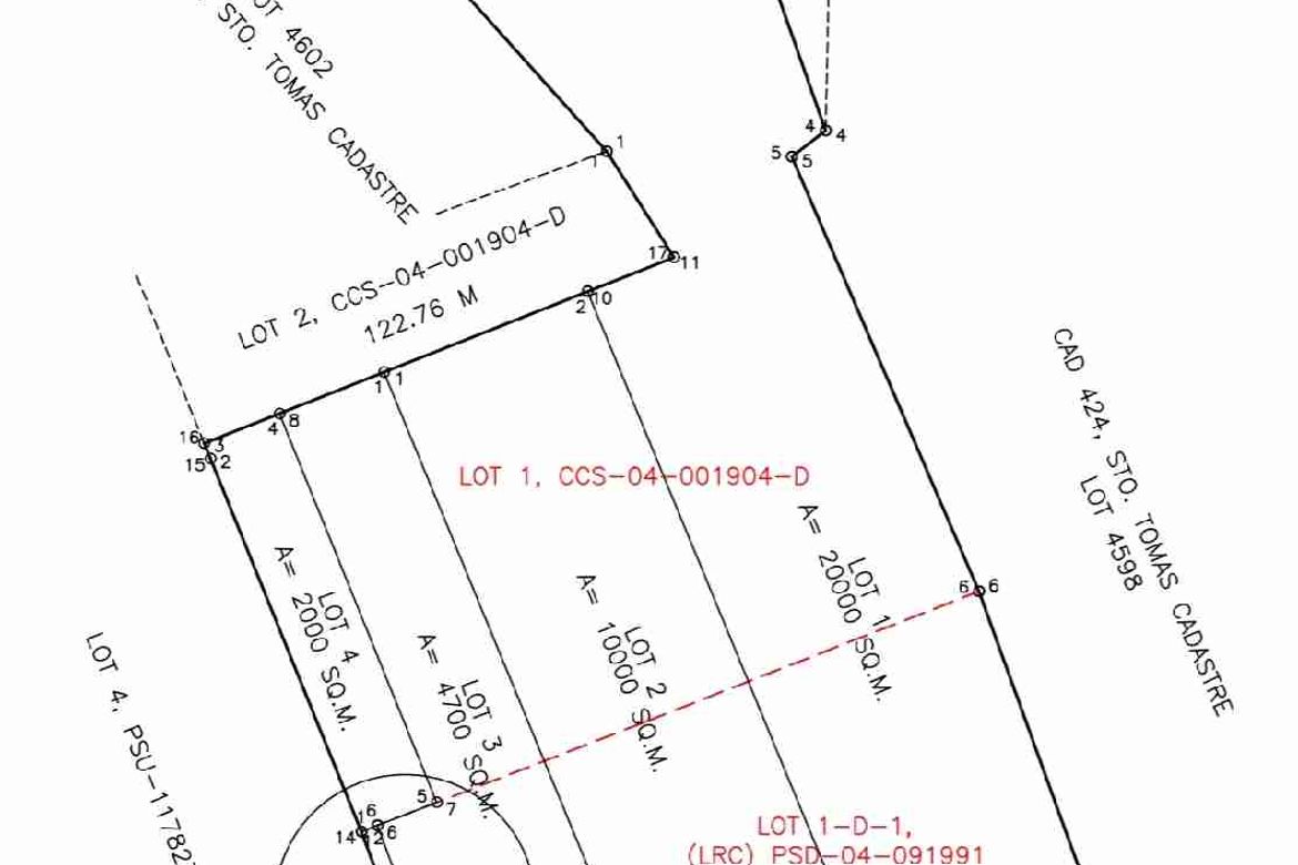 Land for Sale in San Pedro, Santo Tomas, Batangas – photo 8