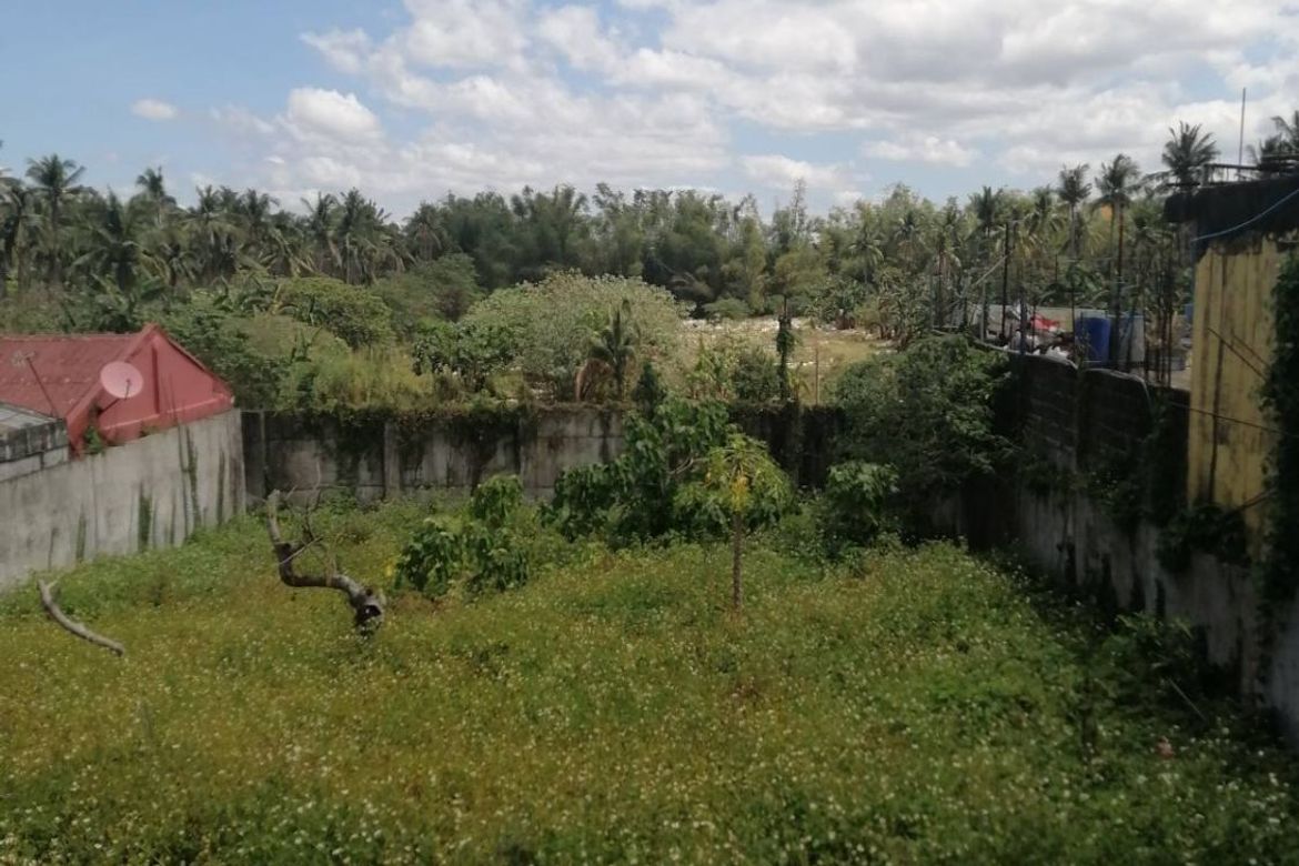 Land for Sale in San Pioquinto, Malvar, Batangas – photo 3