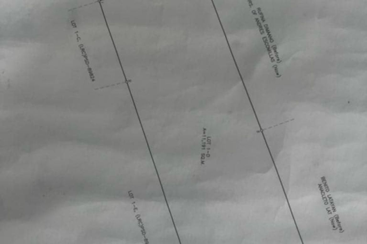 Land for Sale in San Pioquinto, Malvar, Batangas – photo 5