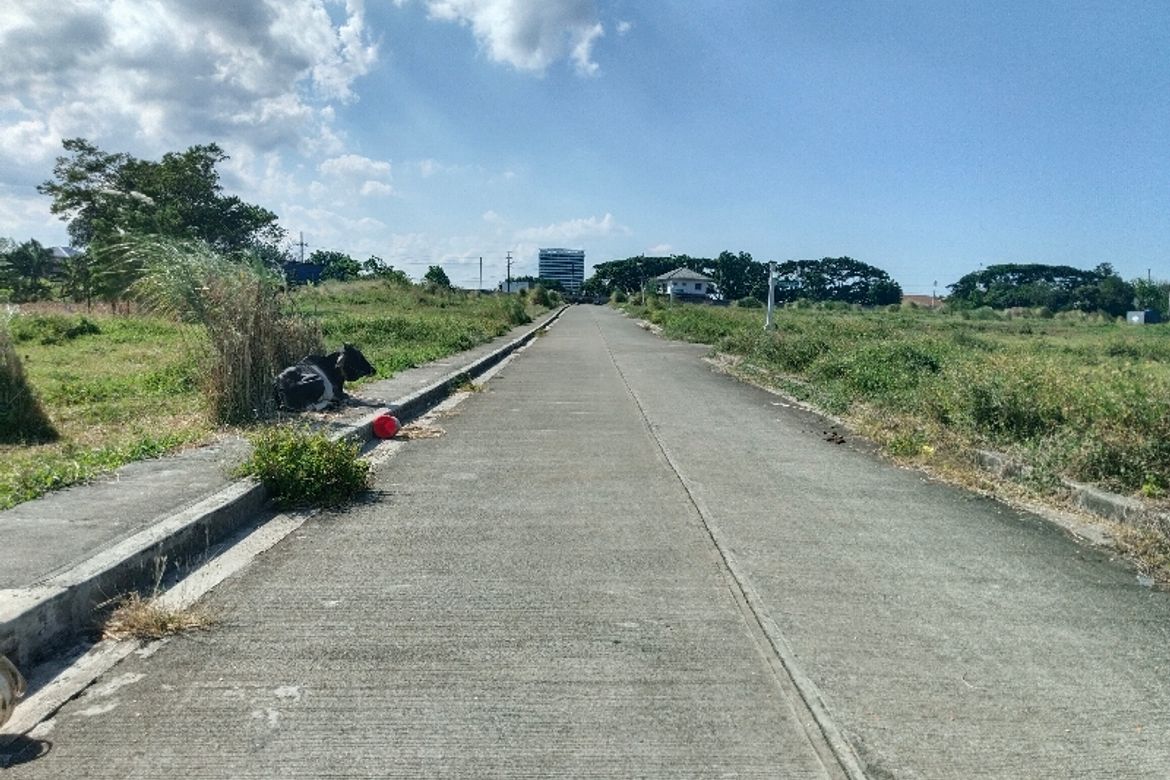Land for Sale in San Rafael, Santo Tomas, Batangas – photo 8