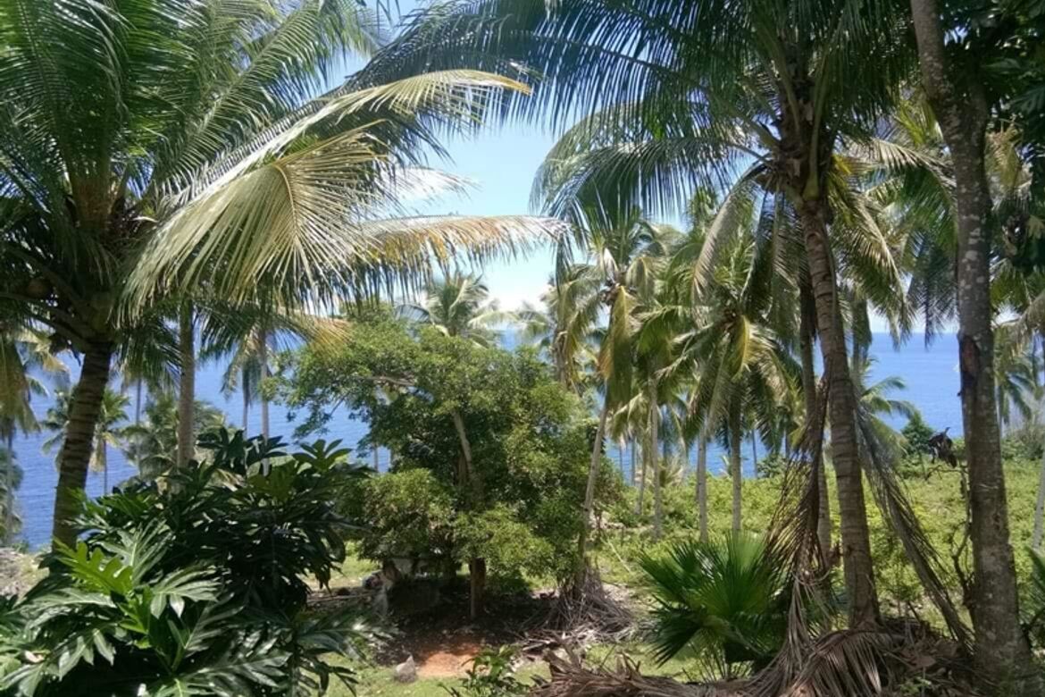 Land for Sale in San Remigio, Samal, Davao del Norte