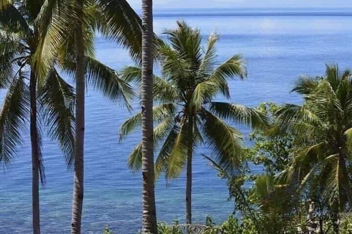 Land for Sale in San Remigio, Samal, Davao del Norte – photo 4