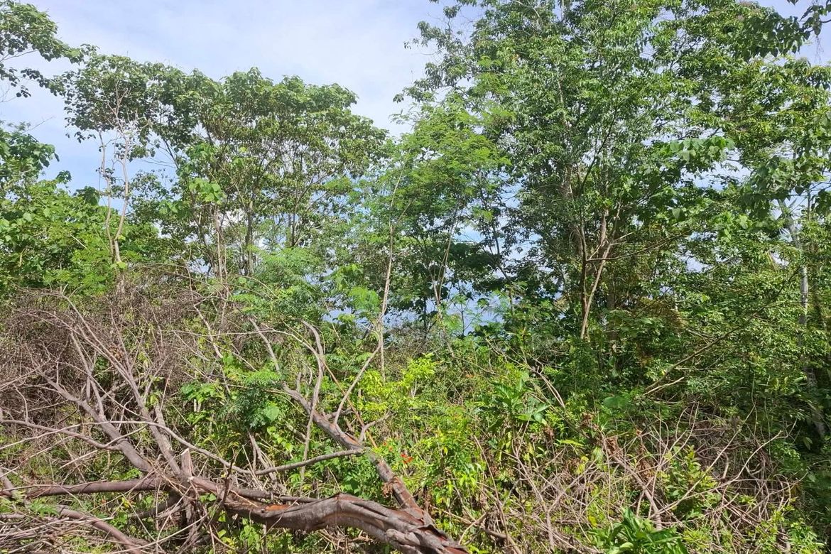 Land for Sale in San Remigio, Samal, Davao del Norte – photo 5