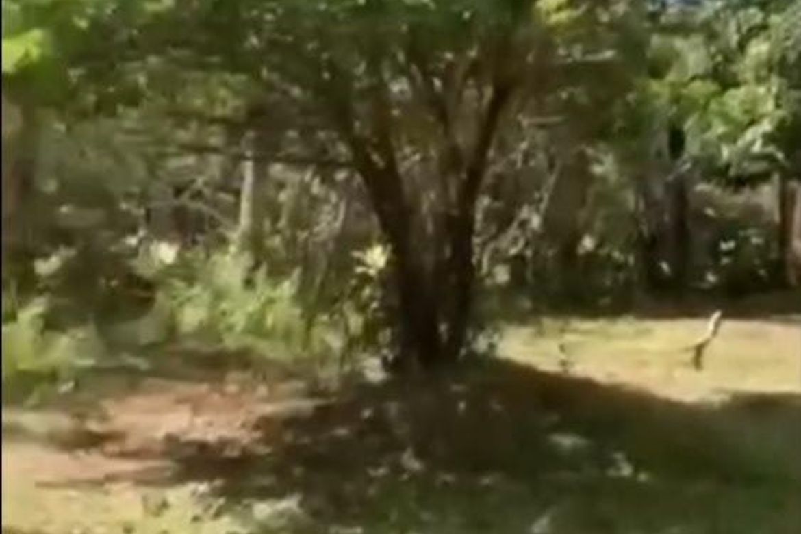 Land for Sale in San Roque, Angat, Bulacan