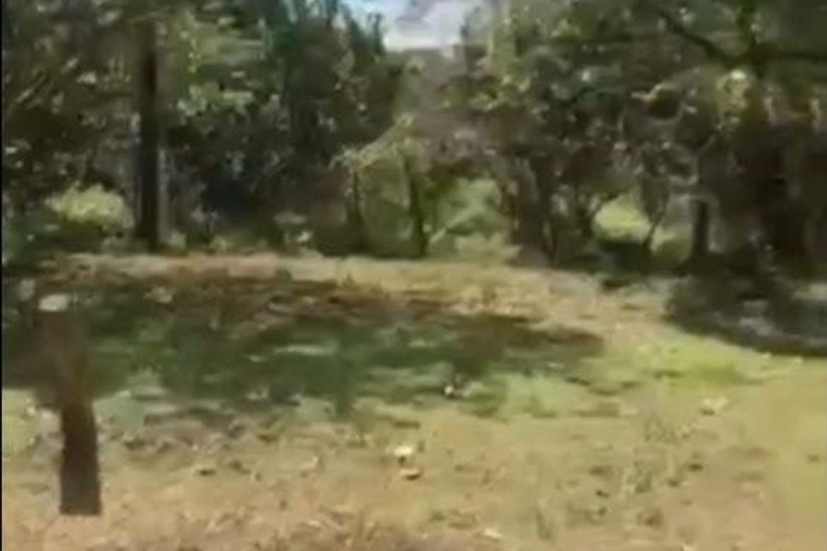 Land for Sale in San Roque, Angat, Bulacan – photo 3