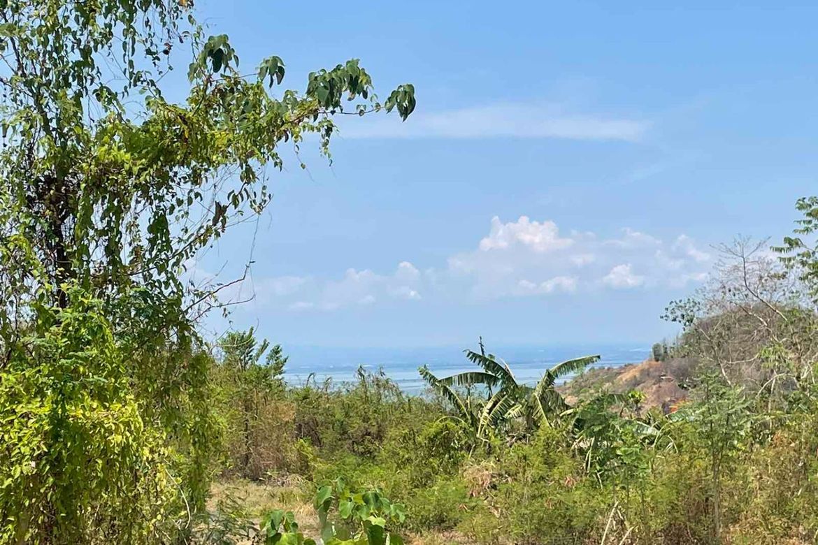 Land for Sale in San Roque, Angono, Rizal – photo 2