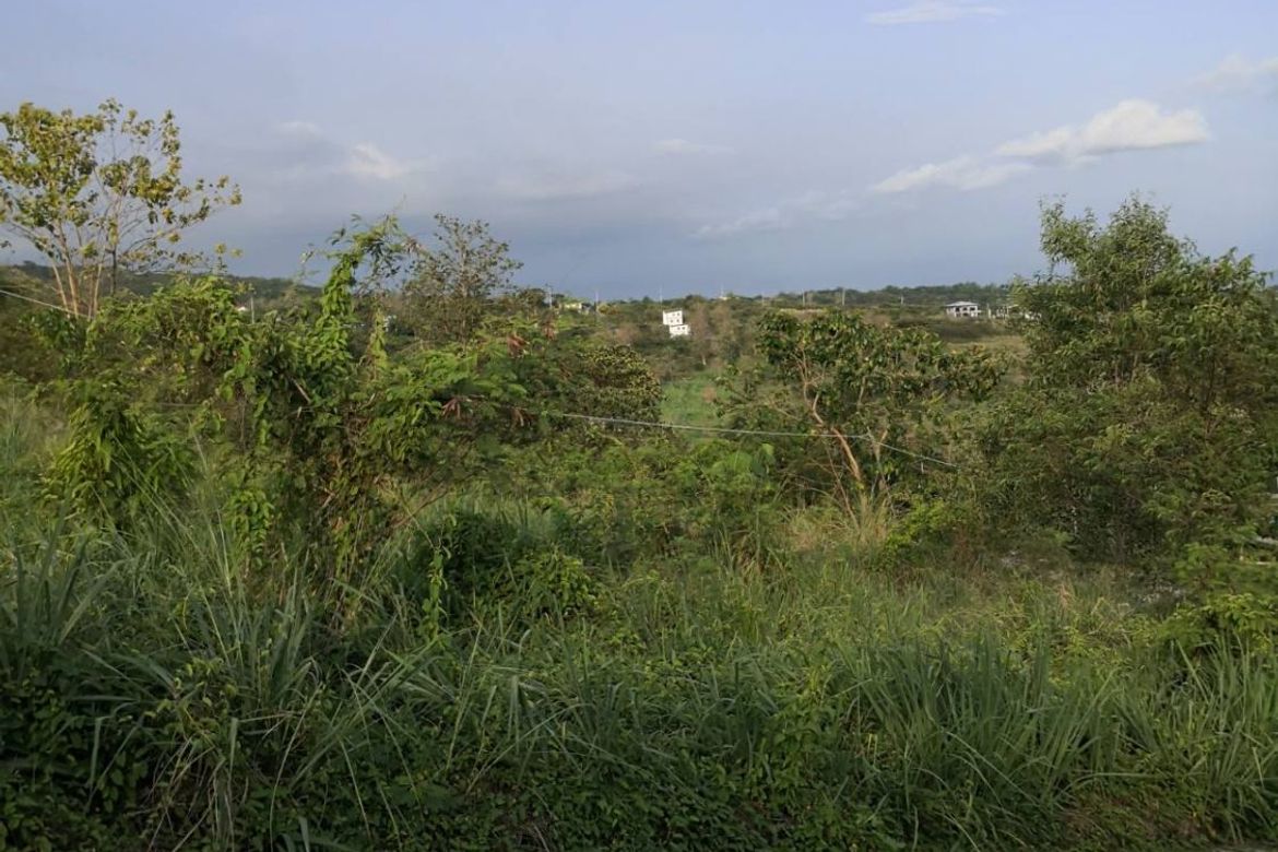 Land for Sale in San Roque, Angono, Rizal – photo 3