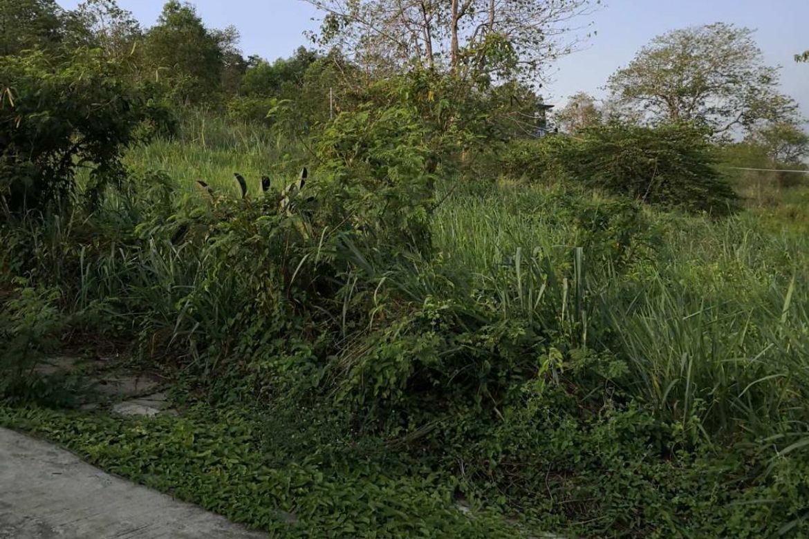 Land for Sale in San Roque, Angono, Rizal – photo 4