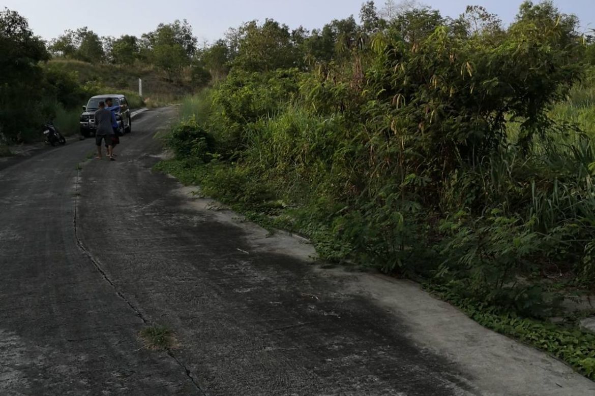 Land for Sale in San Roque, Angono, Rizal – photo 5