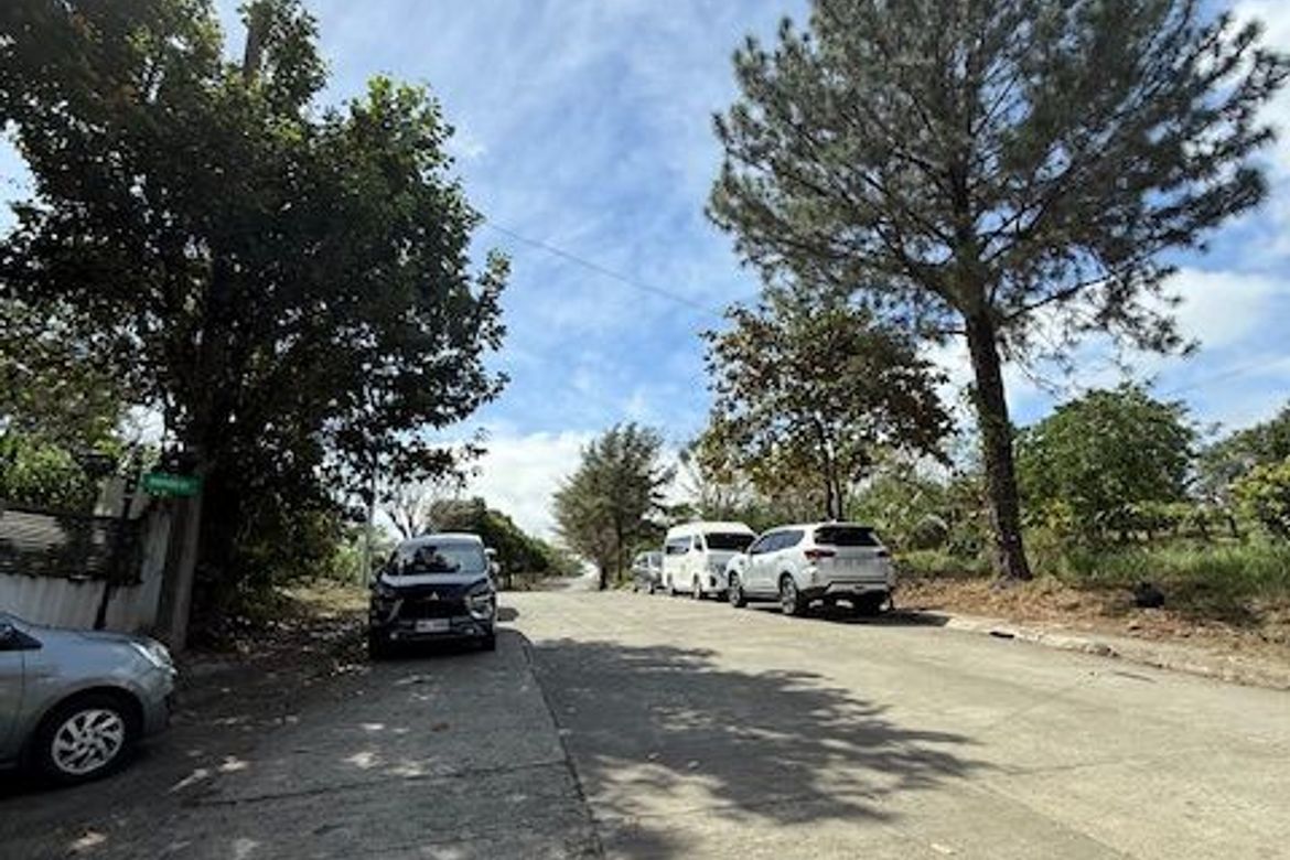 Land for Sale in San Roque, Angono, Rizal