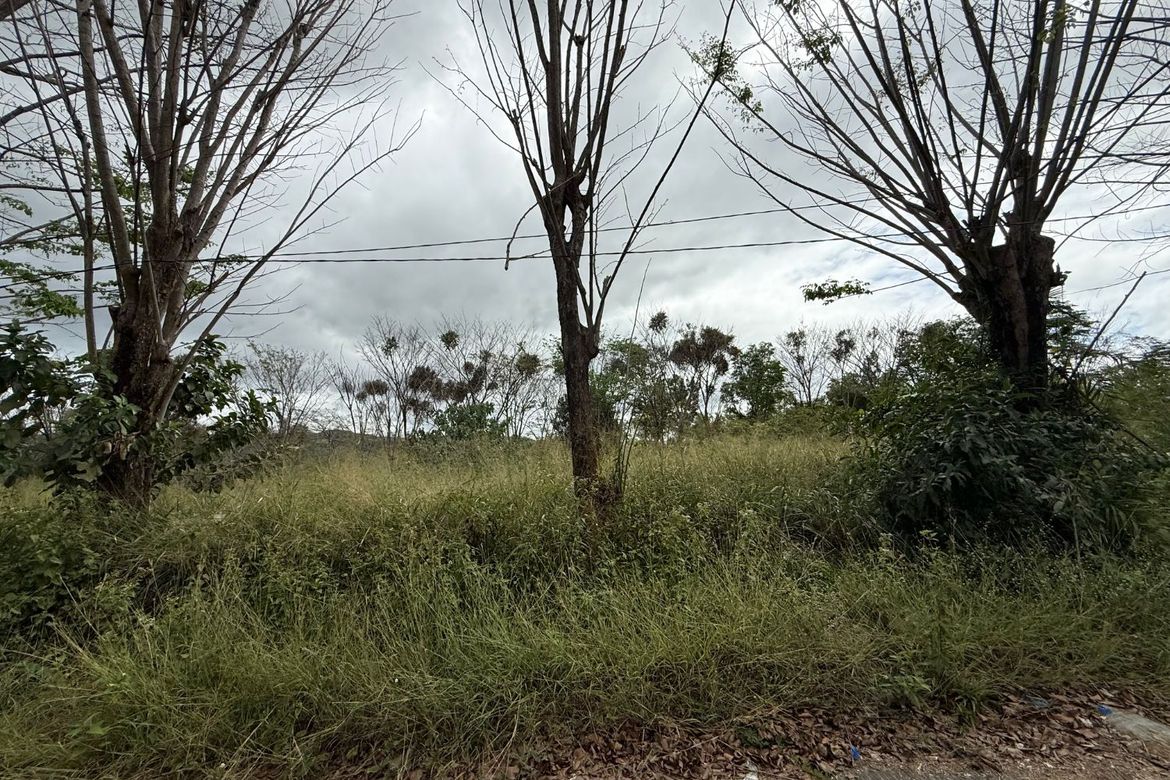 Land for Sale in San Roque, Angono, Rizal – photo 8