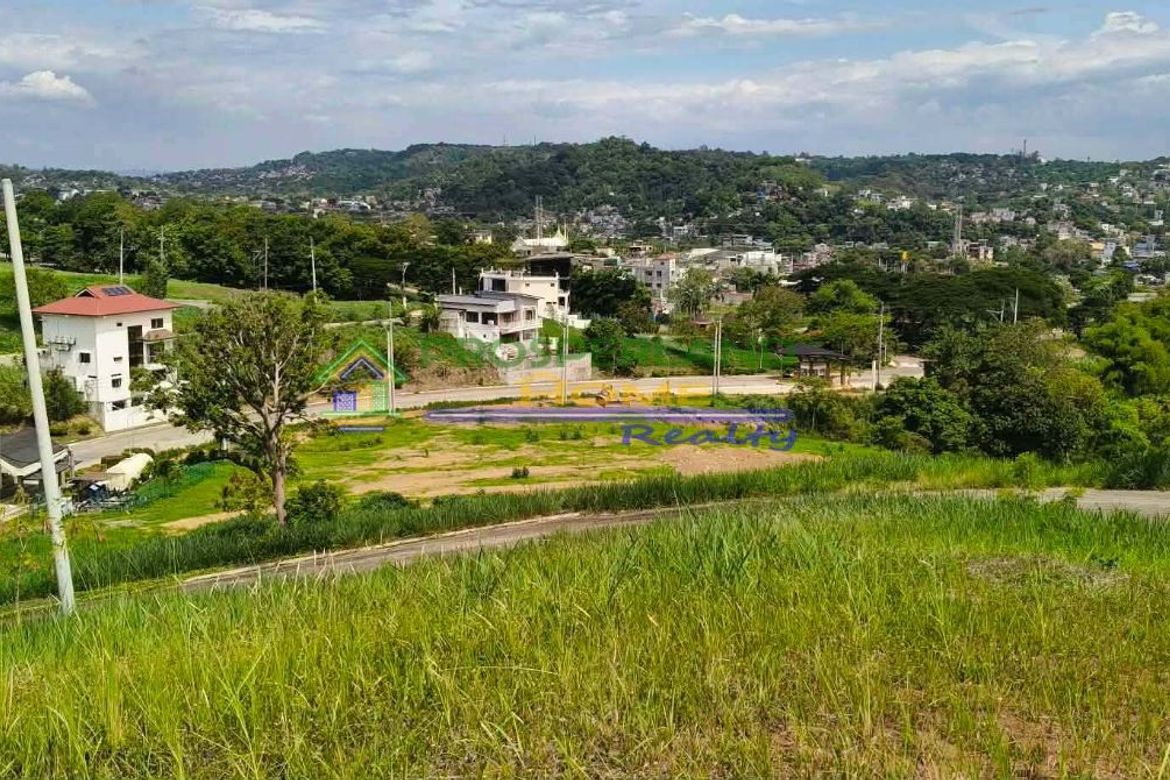 Land for Sale in San Roque, Antipolo, Rizal – photo 4
