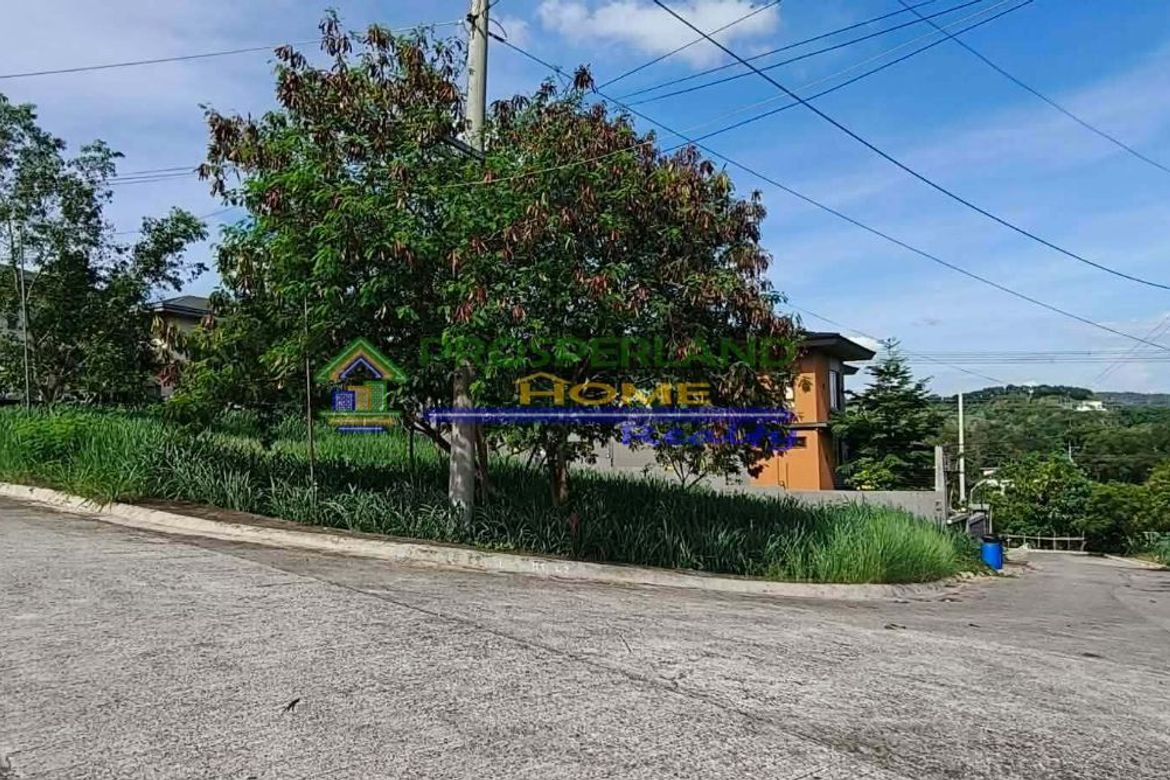 Land for Sale in San Roque, Antipolo, Rizal