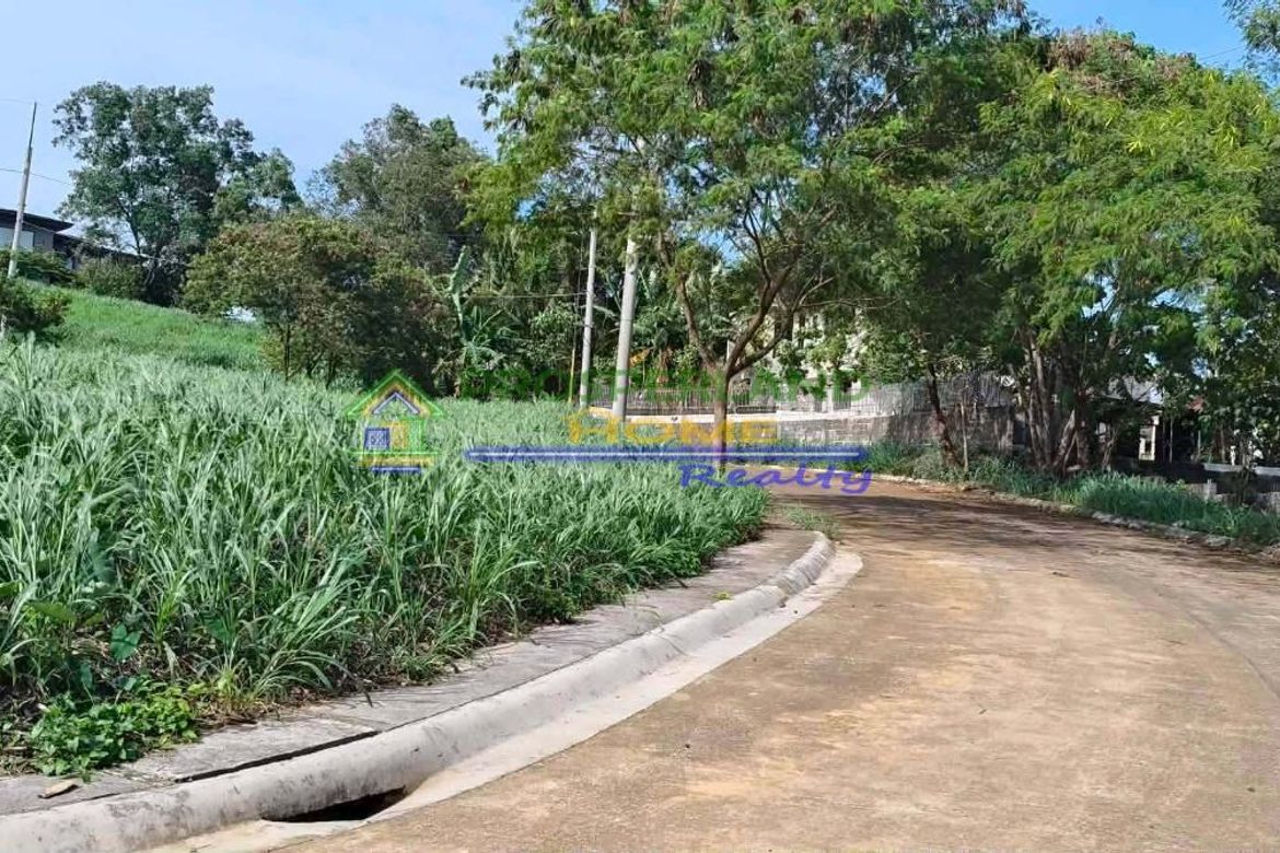 Land for Sale in San Roque, Antipolo, Rizal – photo 8