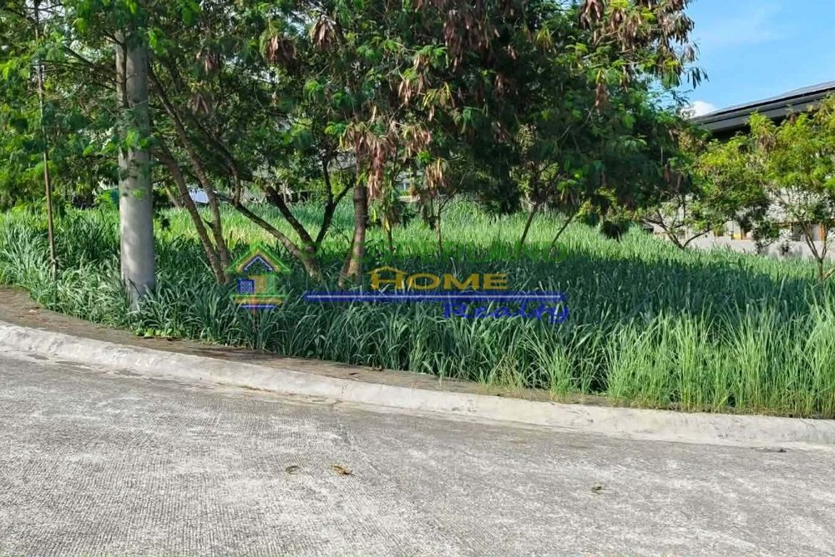 Land for Sale in San Roque, Antipolo, Rizal – photo 2