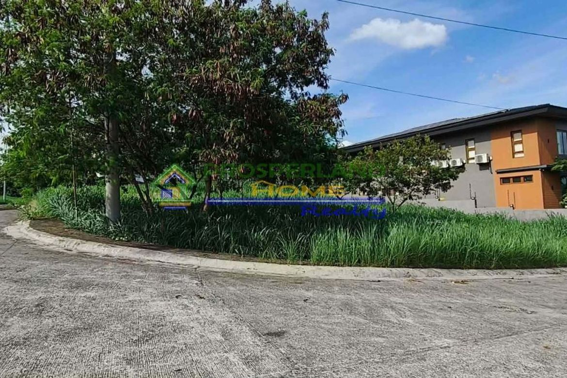Land for Sale in San Roque, Antipolo, Rizal – photo 5