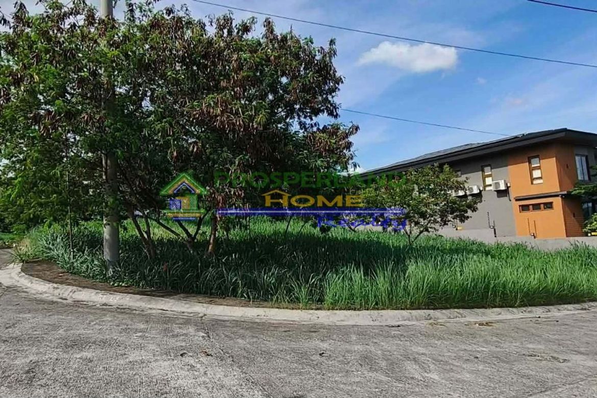 Land for Sale in San Roque, Antipolo, Rizal – photo 4
