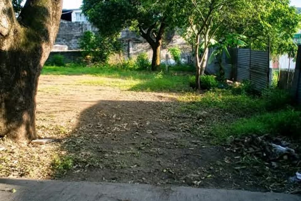 Land for Sale in San Roque, Antipolo, Rizal – photo 3