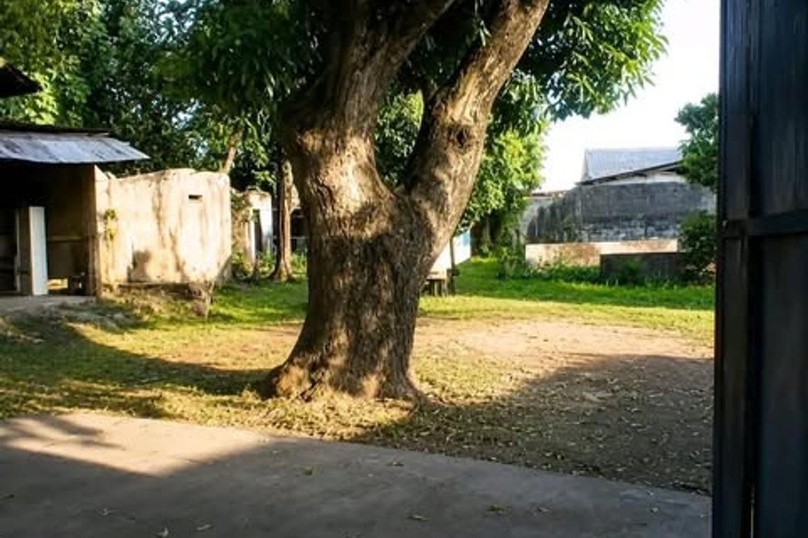 Land for Sale in San Roque, Antipolo, Rizal – photo 5