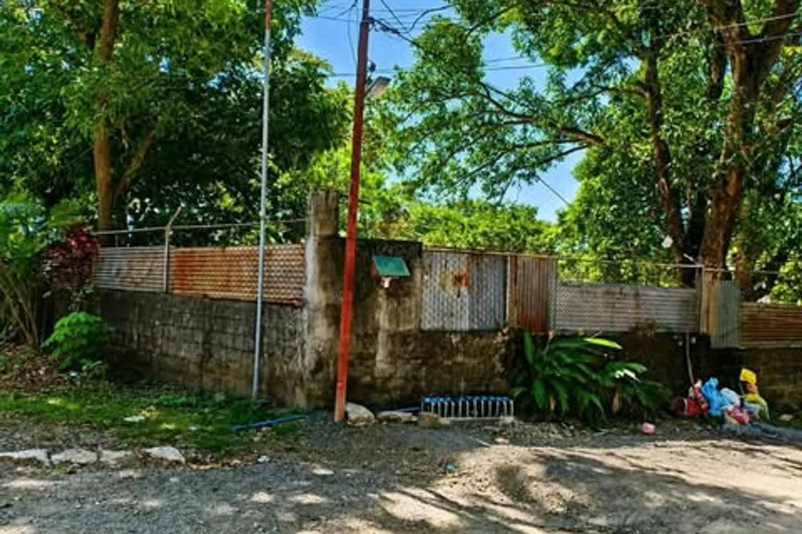 Land for Sale in San Roque, Antipolo, Rizal – photo 7