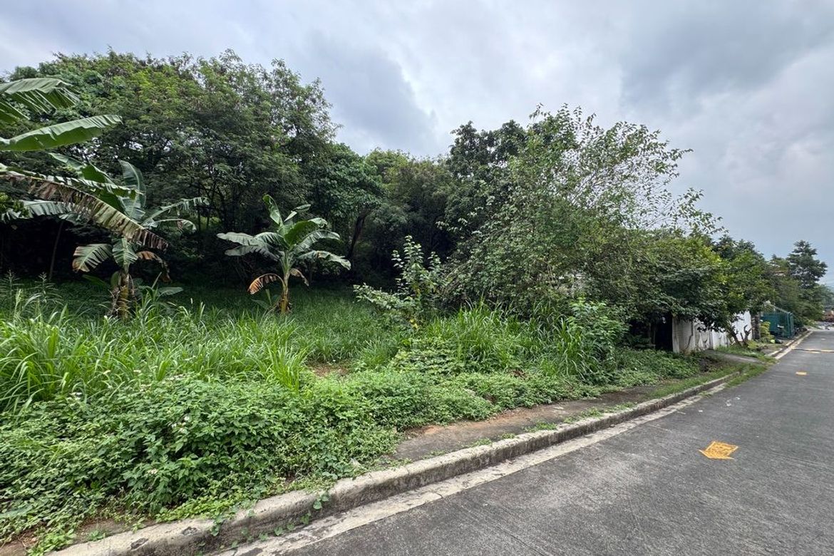 Land for Sale in San Roque, Antipolo, Rizal