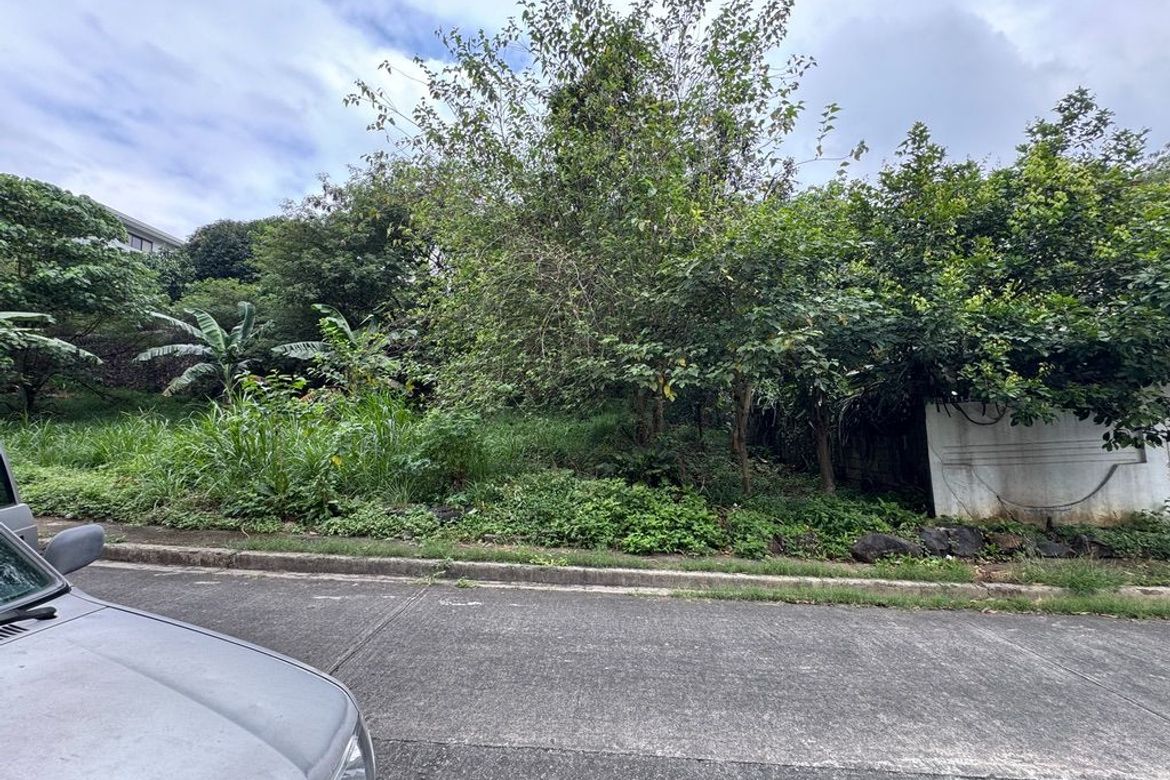 Land for Sale in San Roque, Antipolo, Rizal – photo 2