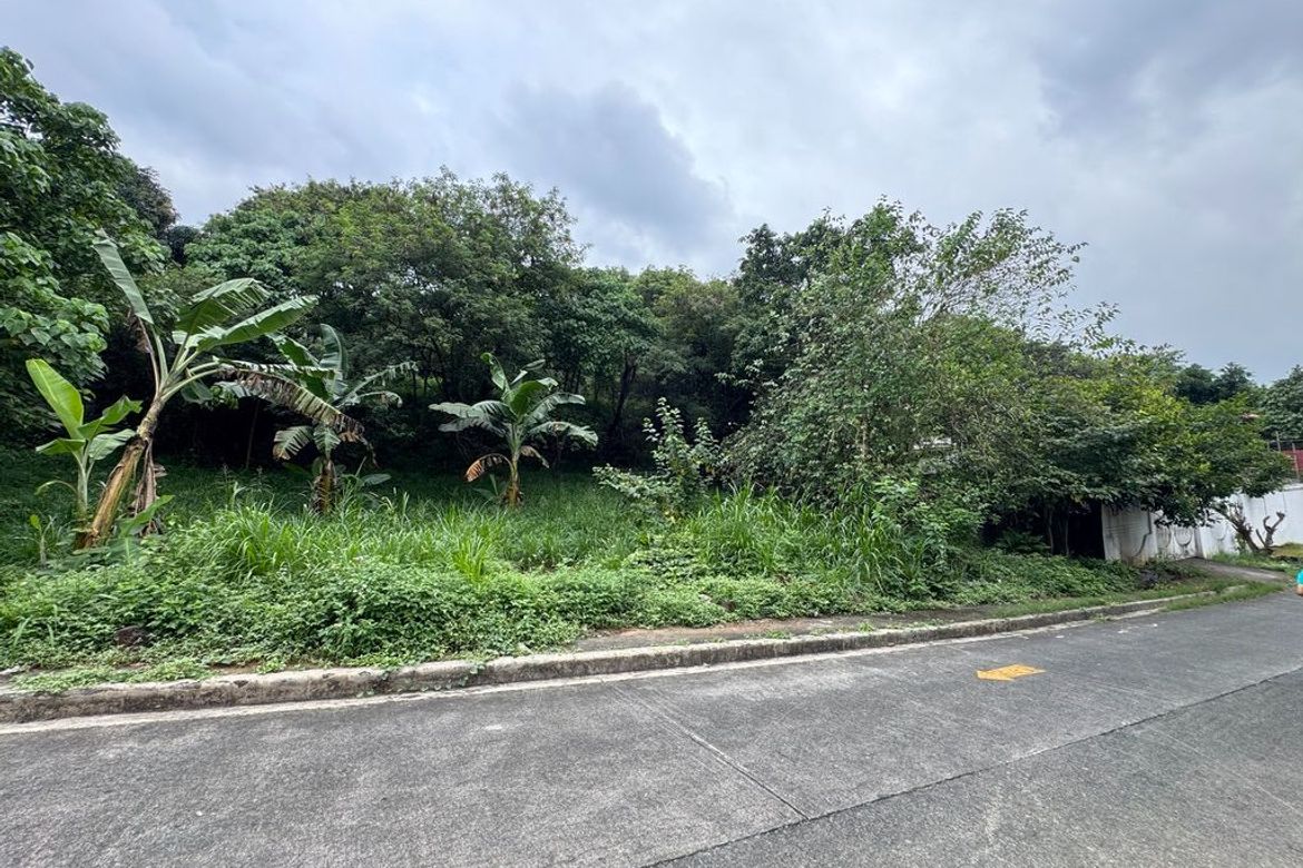 Land for Sale in San Roque, Antipolo, Rizal – photo 5