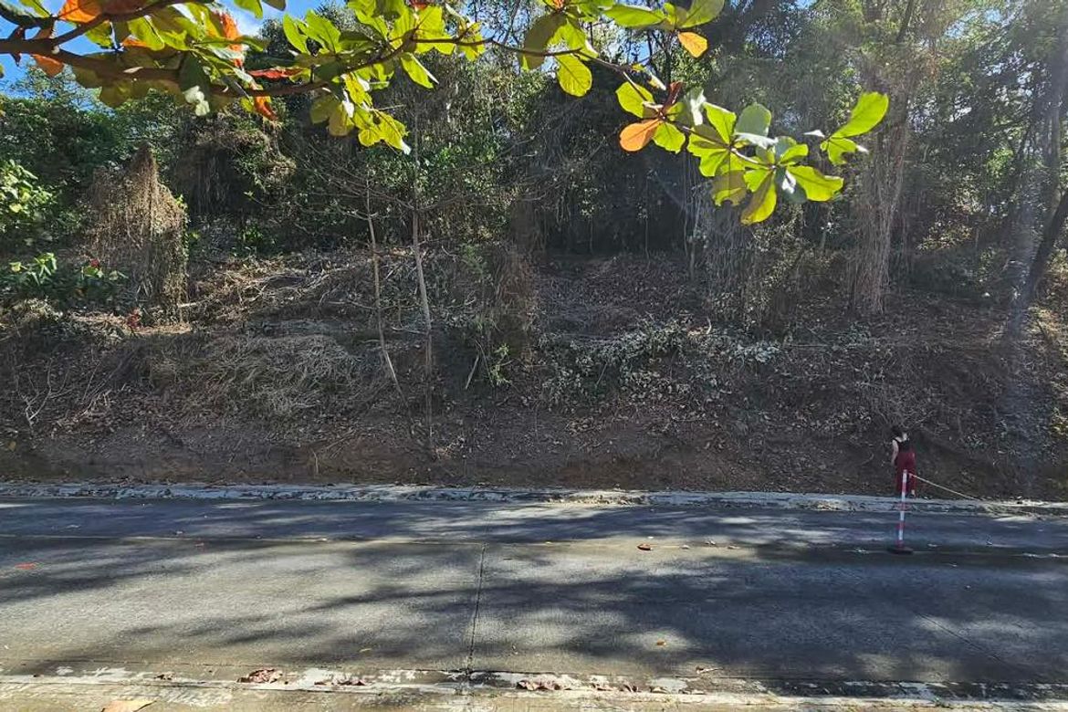Land for Sale in San Roque, Antipolo, Rizal – photo 2
