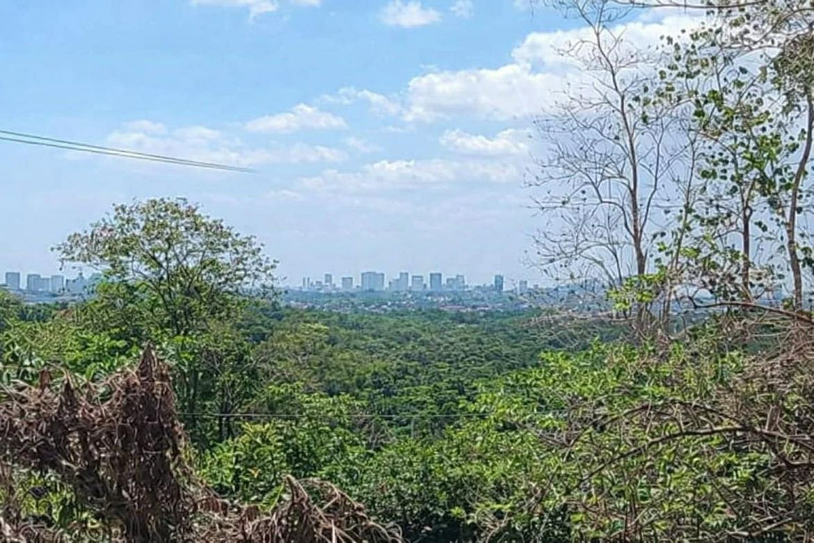 Land for Sale in San Roque, Antipolo, Rizal – photo 6