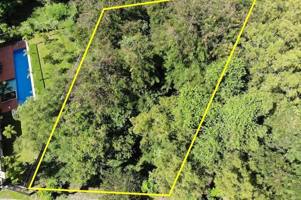Land for Sale in San Roque, Antipolo, Rizal – photo 2