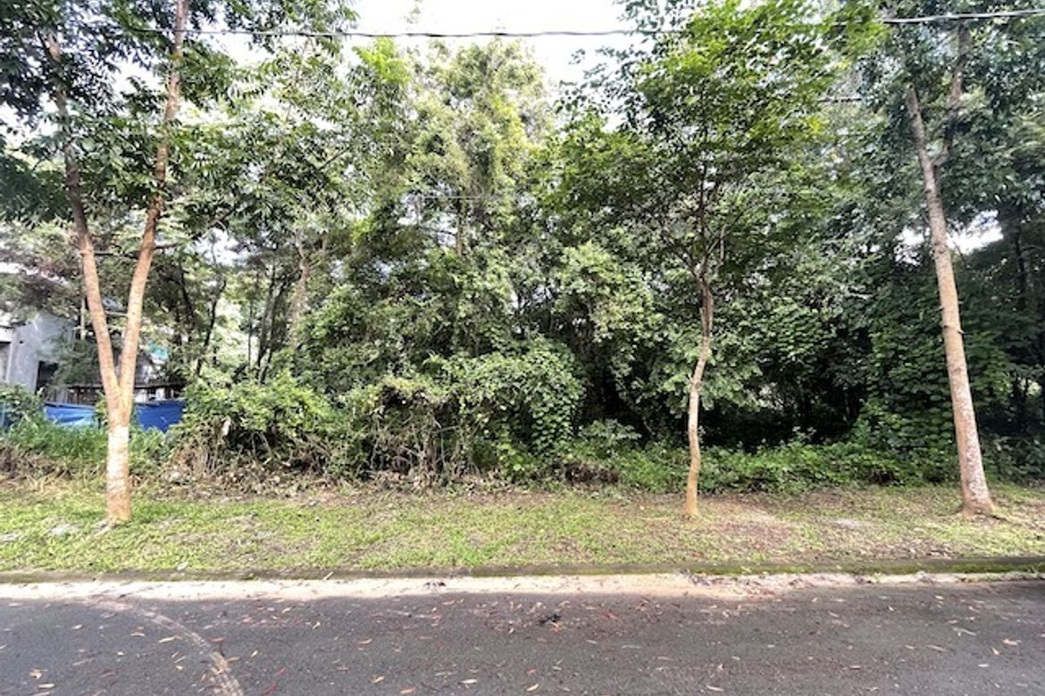 Land for Sale in San Roque, Antipolo, Rizal – photo 4