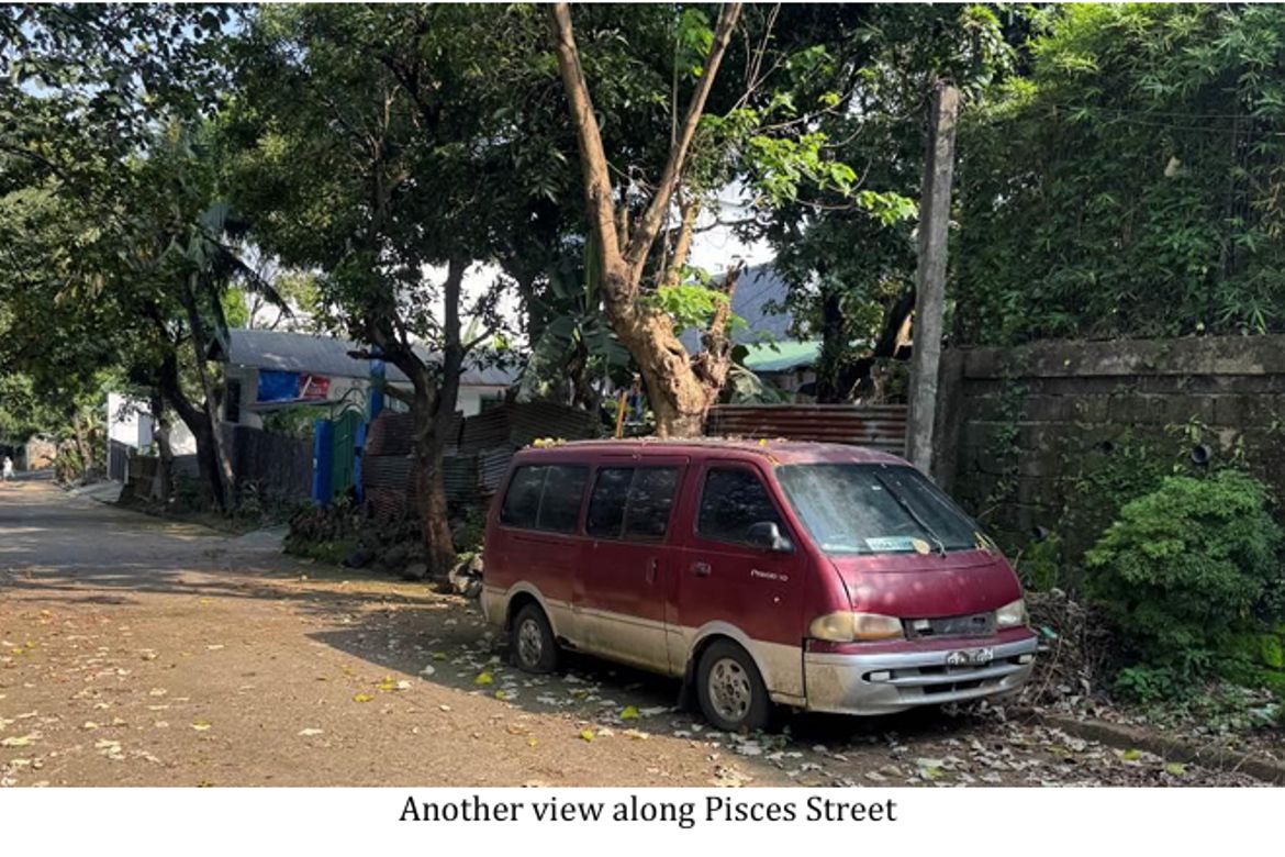 Land for Sale in San Roque, Antipolo, Rizal – photo 2