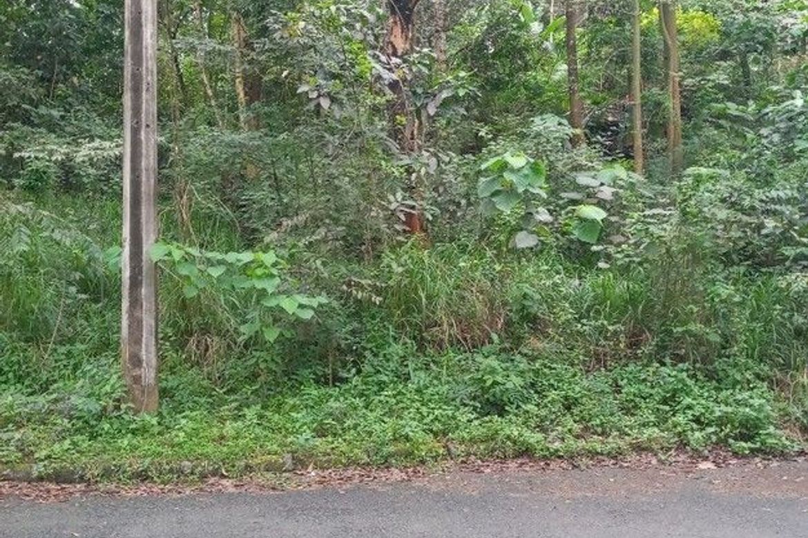 Land for Sale in San Roque, Antipolo, Rizal