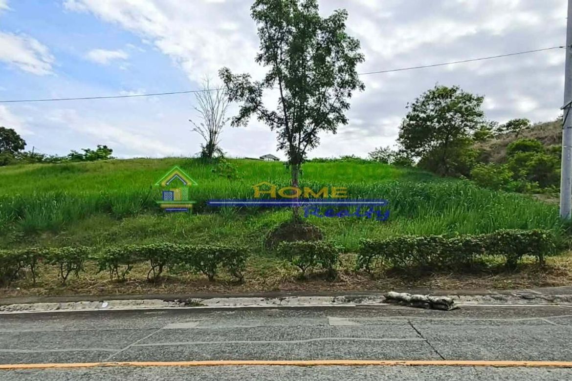 Land for Sale in San Roque, Antipolo, Rizal – photo 7
