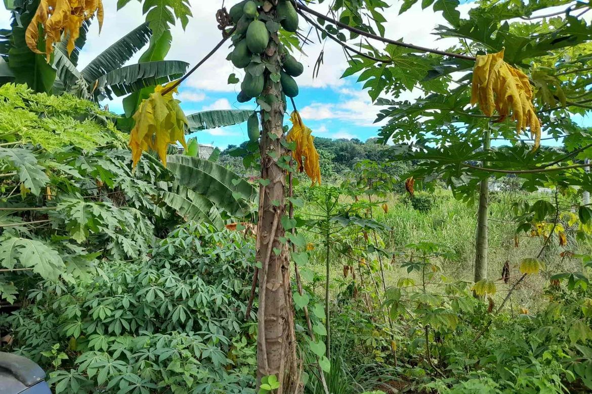 Land for Sale in San Roque, Antipolo, Rizal