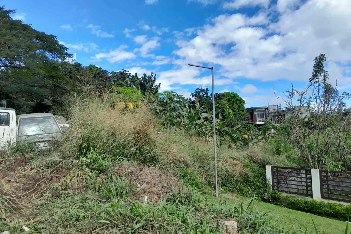 Land for Sale in San Roque, Antipolo, Rizal – photo 2