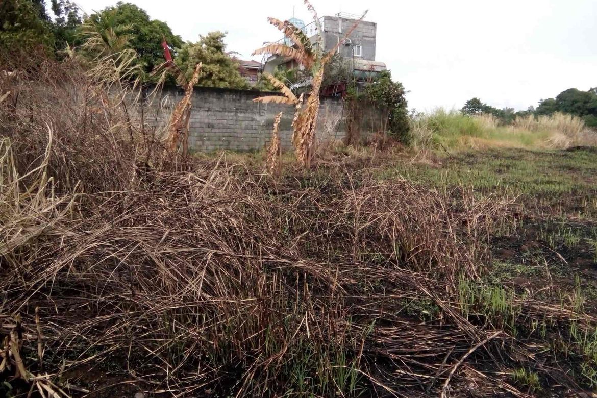 Land for Sale in San Roque, Antipolo, Rizal – photo 5