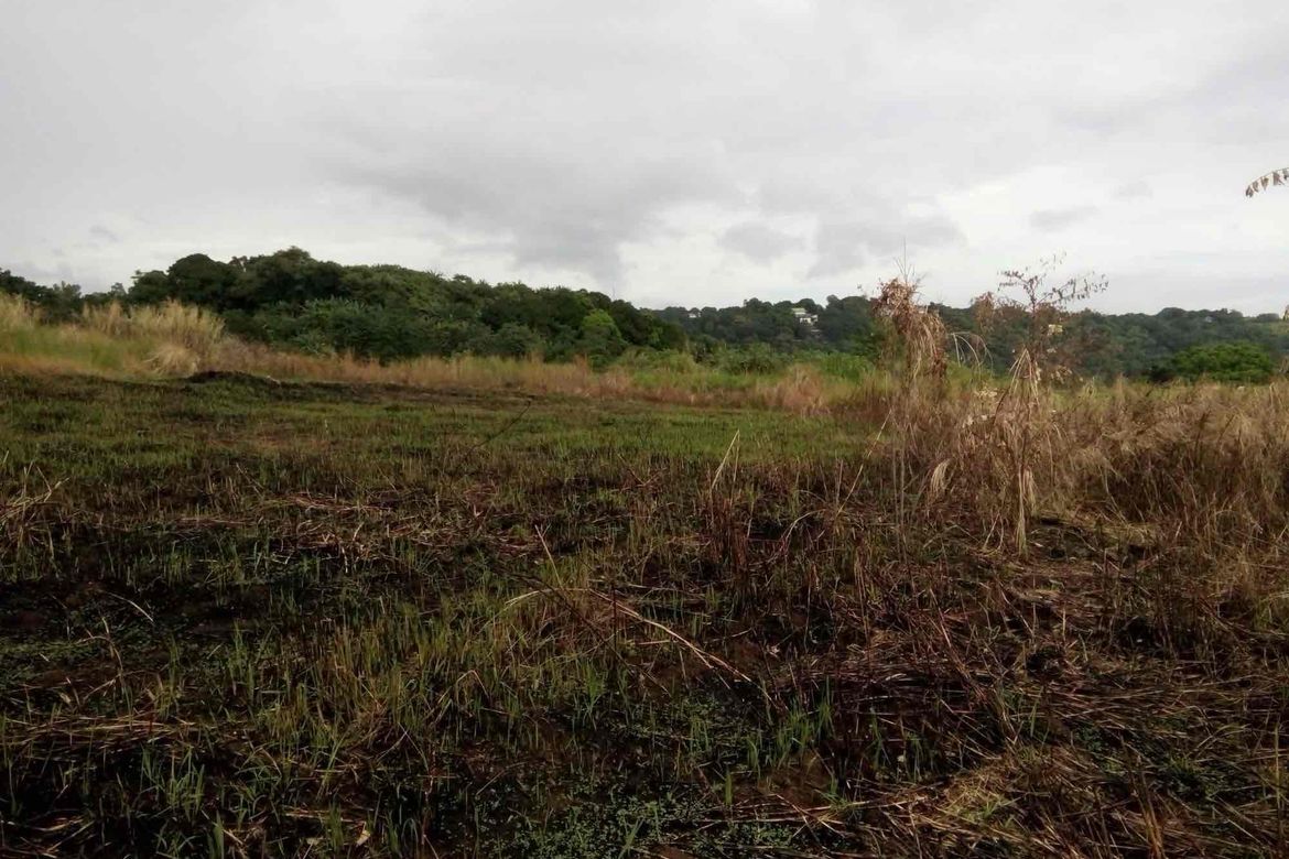 Land for Sale in San Roque, Antipolo, Rizal – photo 6