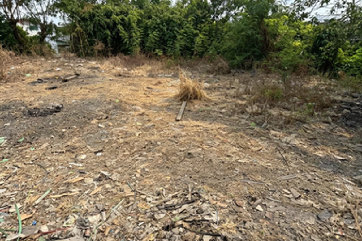Land for Sale in San Roque, Antipolo, Rizal – photo 2